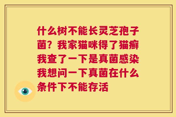 什么树不能长灵芝孢子菌？我家猫咪得了猫癣我查了一下是真菌感染我想问一下真菌在什么条件下不能存活  第1张