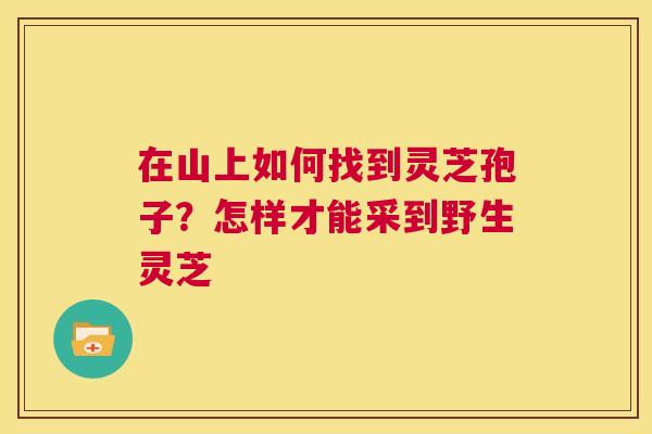 在山上如何找到灵芝孢子?怎样才能采到野生灵芝 第1张 在山上如何找到灵芝孢子?怎样才能采到野生灵芝 第1张