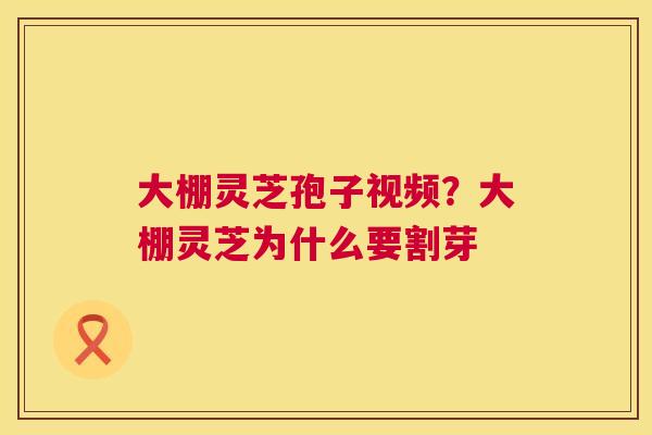 大棚灵芝孢子视频？大棚灵芝为什么要割芽  第1张
