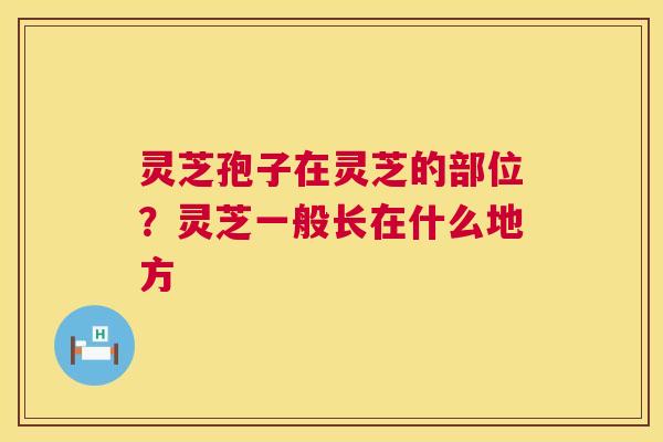 灵芝孢子在灵芝的部位？灵芝一般长在什么地方  第1张