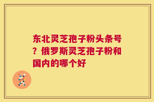 东北灵芝孢子粉头条号?俄罗斯灵芝孢子粉和国内的哪个好 第1张 东北灵芝孢子粉头条号?俄罗斯灵芝孢子粉和国内的哪个好 第1张