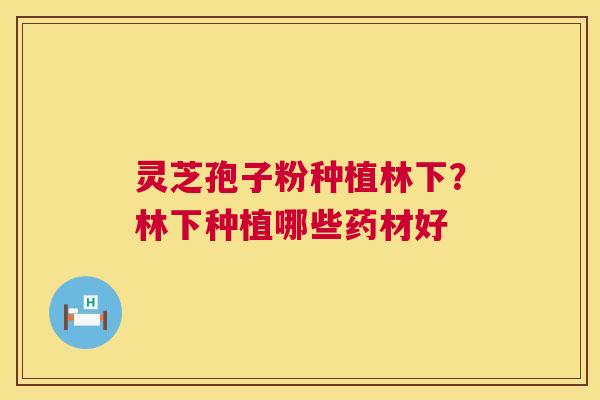 灵芝孢子粉种植林下?林下种植哪些药材好 第1张 灵芝孢子粉种植林下?林下种植哪些药材好 第1张