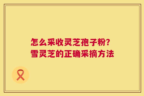 怎么采收灵芝孢子粉？雪灵芝的正确采摘方法  第1张
