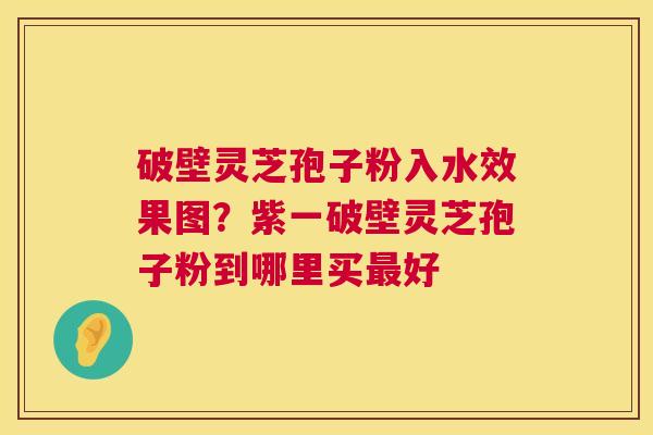 破壁灵芝孢子粉入水效果图？紫一破壁灵芝孢子粉到哪里买最好  第1张