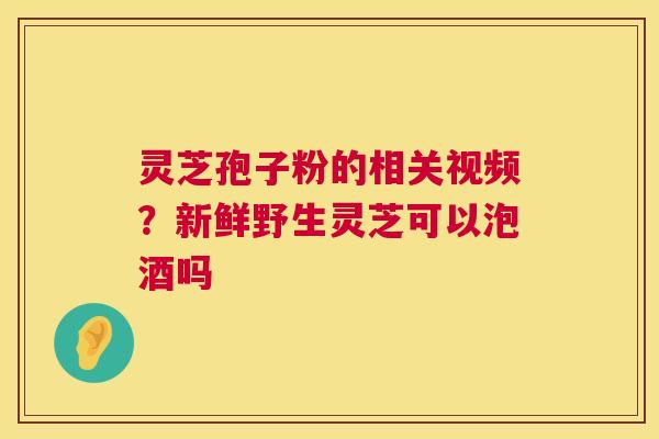 灵芝孢子粉的相关视频?新鲜野生灵芝可以泡酒吗 第1张 灵芝孢子粉的相关视频?新鲜野生灵芝可以泡酒吗 第1张