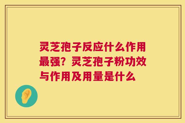 灵芝孢子反应什么作用最强？灵芝孢子粉功效与作用及用量是什么  第1张