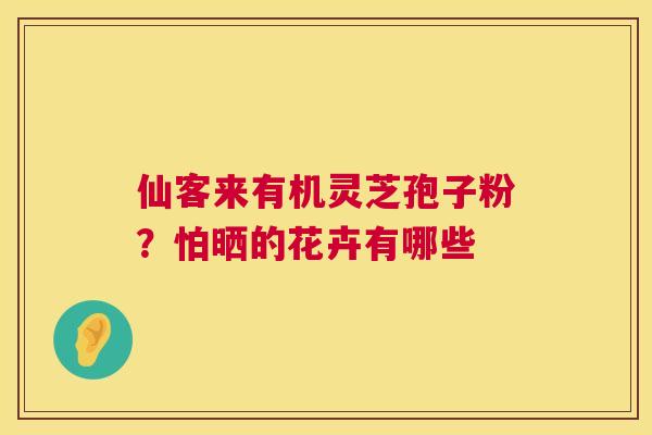 仙客来有机灵芝孢子粉?怕晒的花卉有哪些 第1张 仙客来有机灵芝孢子粉?怕晒的花卉有哪些 第1张