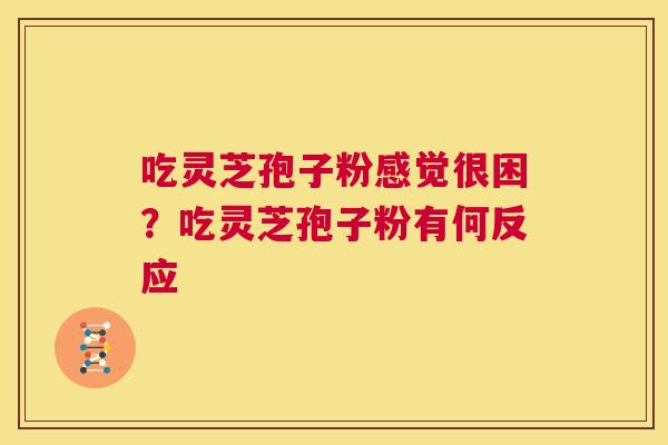 吃灵芝孢子粉感觉很困?吃灵芝孢子粉有何反应 第1张 吃灵芝孢子粉感觉很困?吃灵芝孢子粉有何反应 第1张