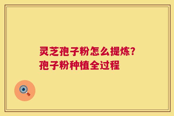 灵芝孢子粉怎么提炼?孢子粉种植全过程 第1张 灵芝孢子粉怎么提炼?孢子粉种植全过程 第1张