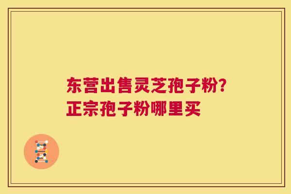 东营出售灵芝孢子粉?正宗孢子粉哪里买 第1张 东营出售灵芝孢子粉?正宗孢子粉哪里买 第1张
