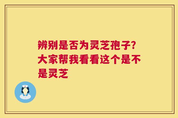 辨别是否为灵芝孢子？大家帮我看看这个是不是灵芝  第1张