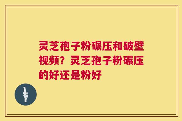 灵芝孢子粉碾压和破壁视频？灵芝孢子粉碾压的好还是粉好  第1张