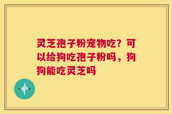 灵芝孢子粉宠物吃?可以给狗吃孢子粉吗,狗狗能吃灵芝吗 第1张 灵芝孢子粉宠物吃?可以给狗吃孢子粉吗,狗狗能吃灵芝吗 第1张