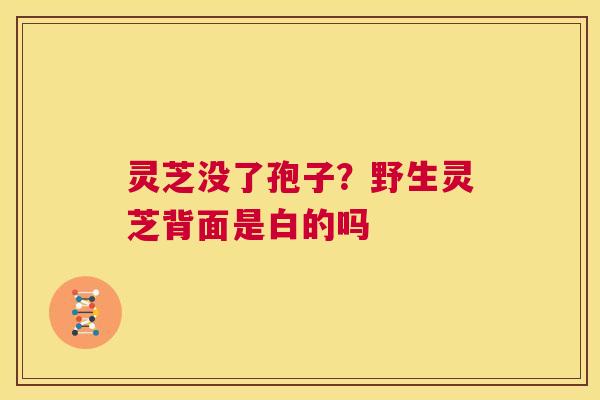 灵芝没了孢子?野生灵芝背面是白的吗 第1张 灵芝没了孢子?野生灵芝背面是白的吗 第1张