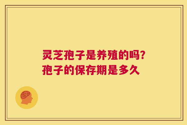 灵芝孢子是养殖的吗?孢子的保存期是多久 第1张 灵芝孢子是养殖的吗?孢子的保存期是多久 第1张