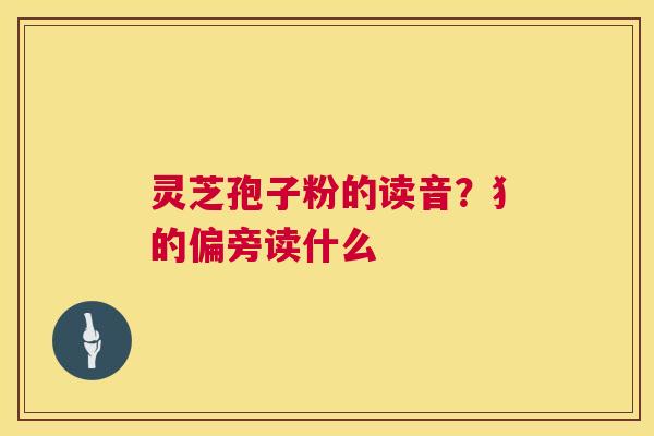 灵芝孢子粉的读音?犭的偏旁读什么 第1张 灵芝孢子粉的读音?犭的偏旁读什么 第1张