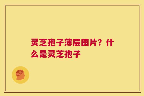 灵芝孢子薄层图片?什么是灵芝孢子 第1张 灵芝孢子薄层图片?什么是灵芝孢子 第1张