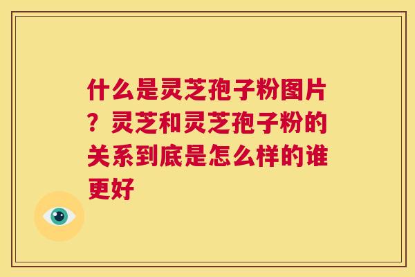 什么是灵芝孢子粉图片？灵芝和灵芝孢子粉的关系到底是怎么样的谁更好  第1张