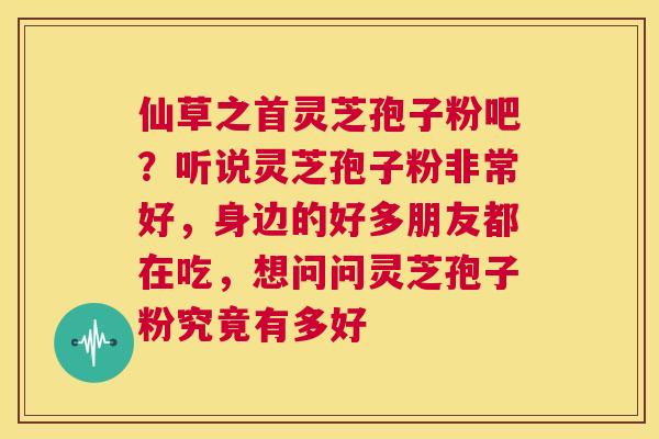 仙草之首灵芝孢子粉吧?听说灵芝孢子粉非常好,身边的好多朋友都在吃,想问问灵芝孢子粉究竟有多好 第1张 仙草之首灵芝孢子粉吧?听说灵芝孢子粉非常好,身边的好多朋友都在吃,想问问灵芝孢子粉究竟有多好 第1张