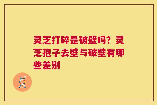 灵芝打碎是破壁吗?灵芝孢子去壁与破壁有哪些差别 第1张 灵芝打碎是破壁吗?灵芝孢子去壁与破壁有哪些差别 第1张