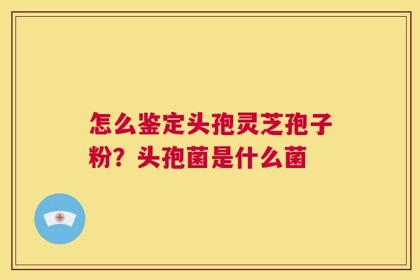 怎么鉴定头孢灵芝孢子粉?头孢菌是什么菌 第1张 怎么鉴定头孢灵芝孢子粉?头孢菌是什么菌 第1张