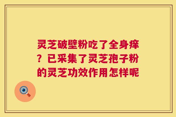 灵芝破壁粉吃了全身痒?已采集了灵芝孢子粉的灵芝功效作用怎样呢 第1张 灵芝破壁粉吃了全身痒?已采集了灵芝孢子粉的灵芝功效作用怎样呢 第1张