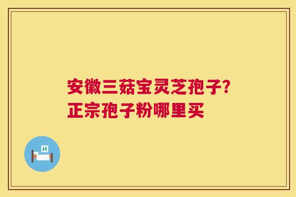 安徽三菇宝灵芝孢子?正宗孢子粉哪里买 第1张 安徽三菇宝灵芝孢子?正宗孢子粉哪里买 第1张
