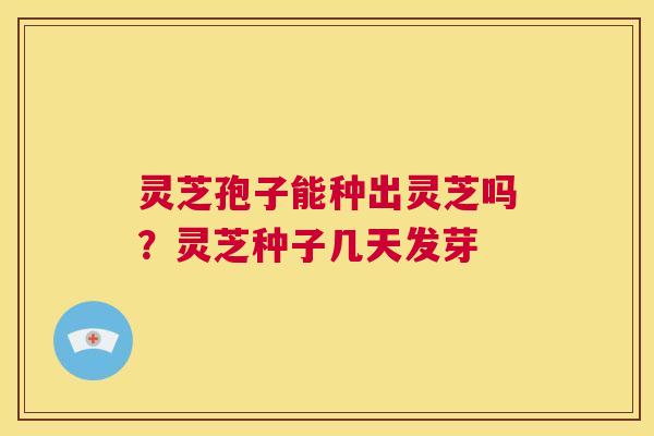 灵芝孢子能种出灵芝吗?灵芝种子几天发芽 第1张 灵芝孢子能种出灵芝吗?灵芝种子几天发芽 第1张