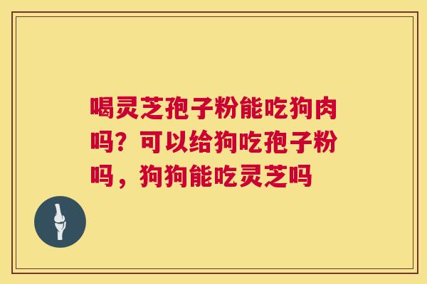 喝灵芝孢子粉能吃狗肉吗？可以给狗吃孢子粉吗，狗狗能吃灵芝吗  第1张