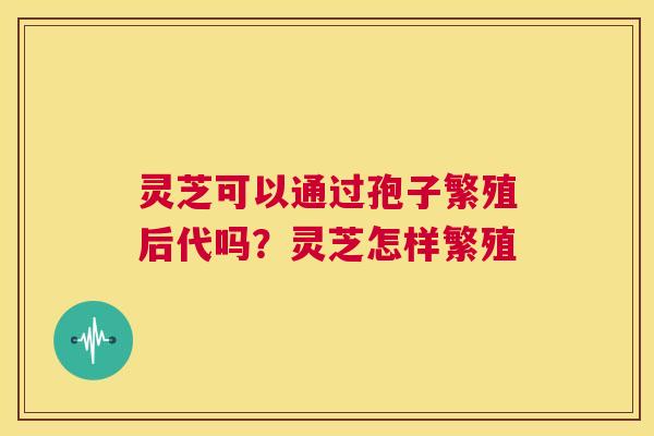 灵芝可以通过孢子繁殖后代吗?灵芝怎样繁殖 第1张 灵芝可以通过孢子繁殖后代吗?灵芝怎样繁殖 第1张