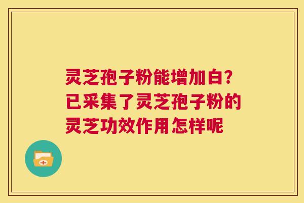 灵芝孢子粉能增加白?已采集了灵芝孢子粉的灵芝功效作用怎样呢 第1张 灵芝孢子粉能增加白?已采集了灵芝孢子粉的灵芝功效作用怎样呢 第1张
