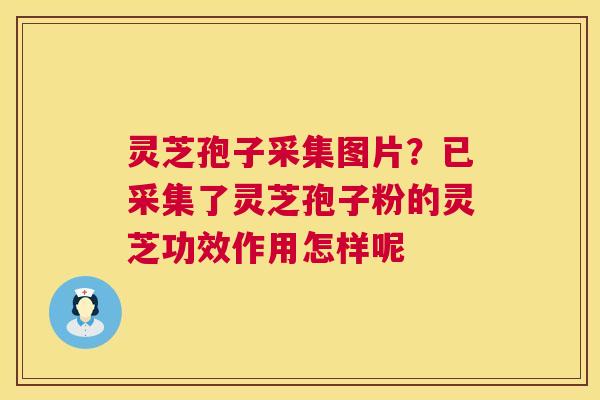 灵芝孢子采集图片?已采集了灵芝孢子粉的灵芝功效作用怎样呢 第1张 灵芝孢子采集图片?已采集了灵芝孢子粉的灵芝功效作用怎样呢 第1张
