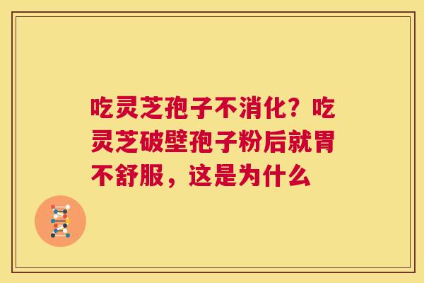 吃灵芝孢子不消化?吃灵芝破壁孢子粉后就胃不舒服,这是为什么 第1张 吃灵芝孢子不消化?吃灵芝破壁孢子粉后就胃不舒服,这是为什么 第1张