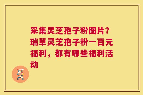 采集灵芝孢子粉图片？瑞草灵芝孢子粉一百元福利，都有哪些福利活动  第1张