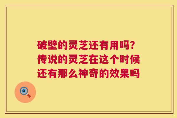 破壁的灵芝还有用吗?传说的灵芝在这个时候还有那么神奇的效果吗 第1张 破壁的灵芝还有用吗?传说的灵芝在这个时候还有那么神奇的效果吗 第1张