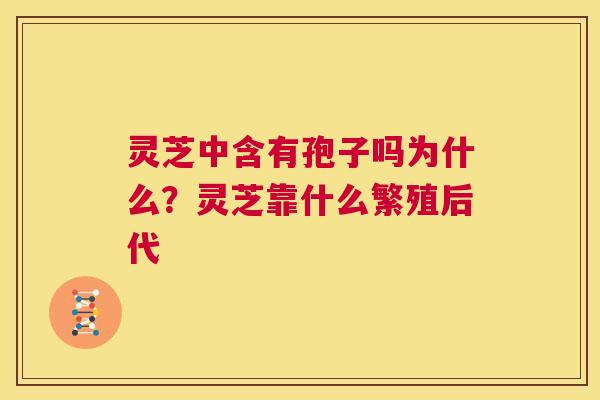 灵芝中含有孢子吗为什么?灵芝靠什么繁殖后代 第1张 灵芝中含有孢子吗为什么?灵芝靠什么繁殖后代 第1张