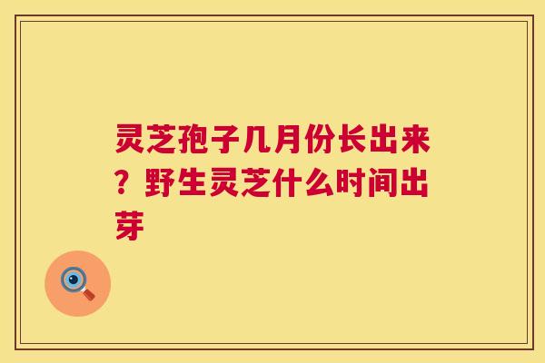 灵芝孢子几月份长出来?野生灵芝什么时间出芽 第1张 灵芝孢子几月份长出来?野生灵芝什么时间出芽 第1张