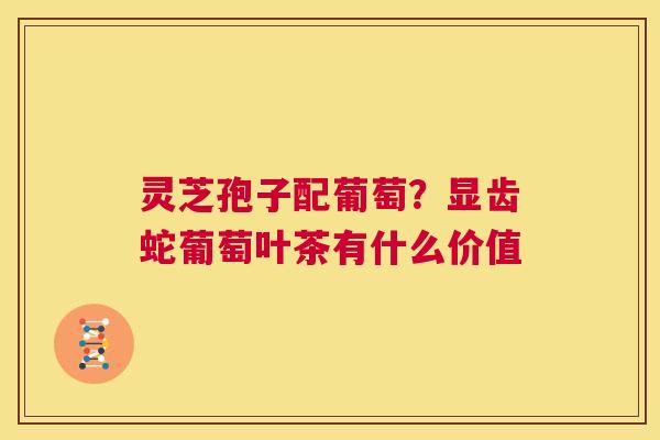 灵芝孢子配葡萄?显齿蛇葡萄叶茶有什么价值 第1张 灵芝孢子配葡萄?显齿蛇葡萄叶茶有什么价值 第1张