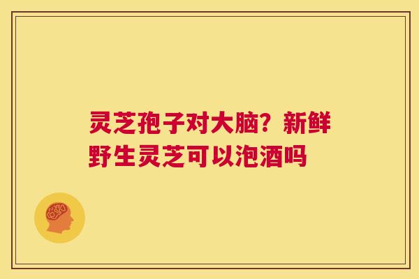 灵芝孢子对大脑?新鲜野生灵芝可以泡酒吗 第1张 灵芝孢子对大脑?新鲜野生灵芝可以泡酒吗 第1张