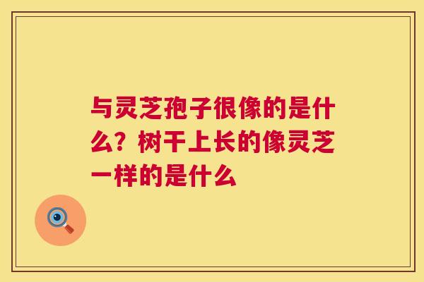 与灵芝孢子很像的是什么?树干上长的像灵芝一样的是什么 第1张 与灵芝孢子很像的是什么?树干上长的像灵芝一样的是什么 第1张
