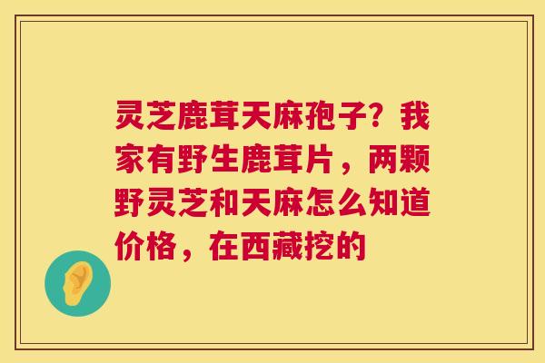 灵芝鹿茸天麻孢子？我家有野生鹿茸片，两颗野灵芝和天麻怎么知道价格，在西藏挖的  第1张