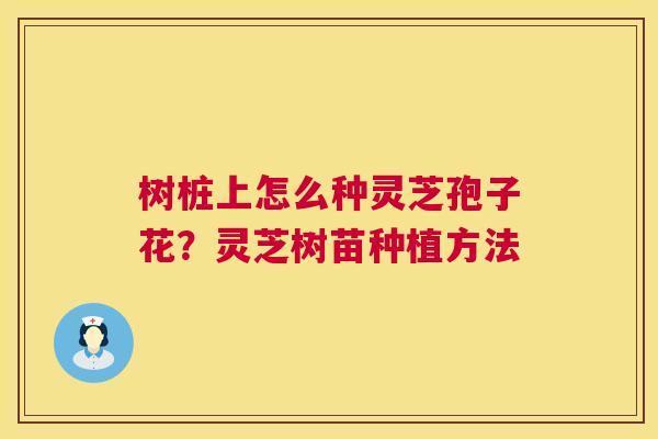 树桩上怎么种灵芝孢子花?灵芝树苗种植方法 第1张 树桩上怎么种灵芝孢子花?灵芝树苗种植方法 第1张