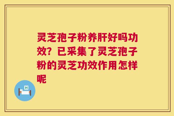 灵芝孢子粉养肝好吗功效？已采集了灵芝孢子粉的灵芝功效作用怎样呢  第1张