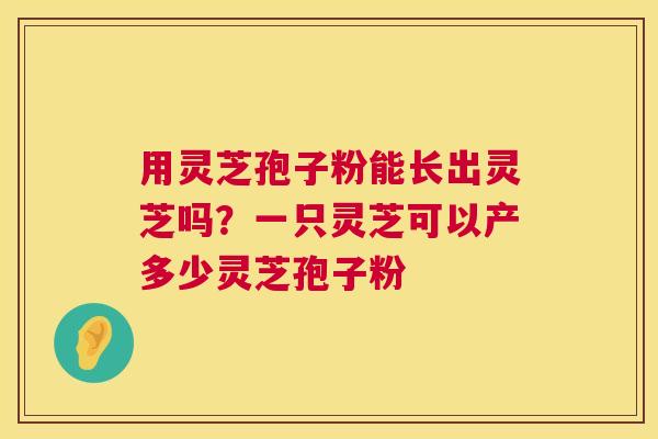 用灵芝孢子粉能长出灵芝吗?一只灵芝可以产多少灵芝孢子粉 第1张 用灵芝孢子粉能长出灵芝吗?一只灵芝可以产多少灵芝孢子粉 第1张