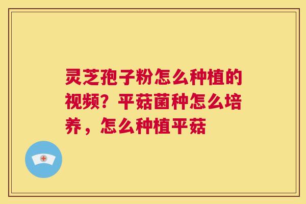 灵芝孢子粉怎么种植的视频?平菇菌种怎么培养,怎么种植平菇 第1张 灵芝孢子粉怎么种植的视频?平菇菌种怎么培养,怎么种植平菇 第1张