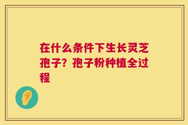 在什么条件下生长灵芝孢子?孢子粉种植全过程 第1张 在什么条件下生长灵芝孢子?孢子粉种植全过程 第1张