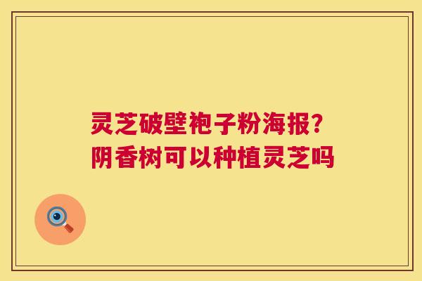 灵芝破壁袍子粉海报?阴香树可以种植灵芝吗 第1张 灵芝破壁袍子粉海报?阴香树可以种植灵芝吗 第1张
