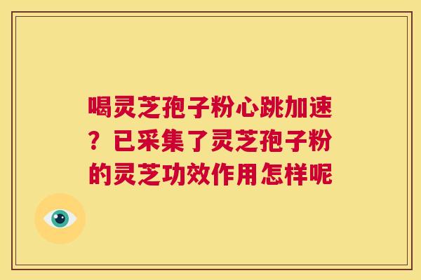 喝灵芝孢子粉心跳加速?已采集了灵芝孢子粉的灵芝功效作用怎样呢 第1张 喝灵芝孢子粉心跳加速?已采集了灵芝孢子粉的灵芝功效作用怎样呢 第1张