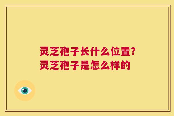 灵芝孢子长什么位置？灵芝孢子是怎么样的  第1张