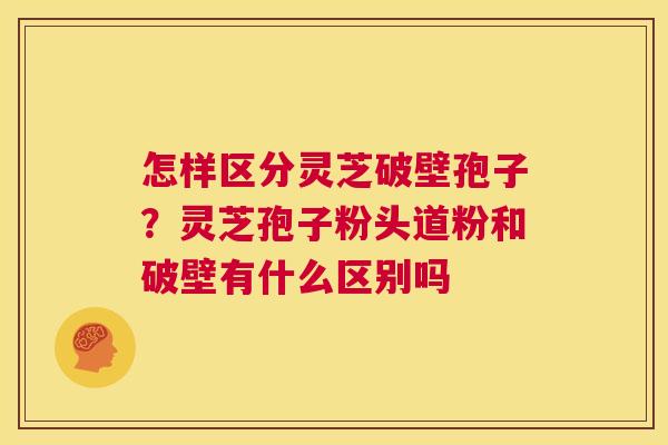 怎样区分灵芝破壁孢子？灵芝孢子粉头道粉和破壁有什么区别吗  第1张